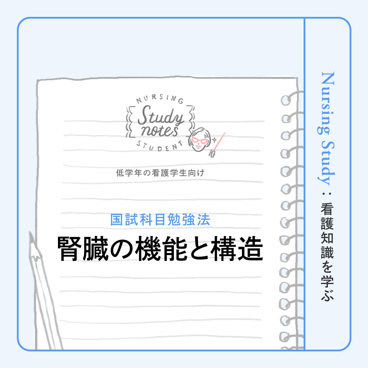 看護師国試対策｜腎臓の機能と構造、尿の濾過と再吸収